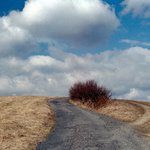 Červené křoví, cesty+mraky